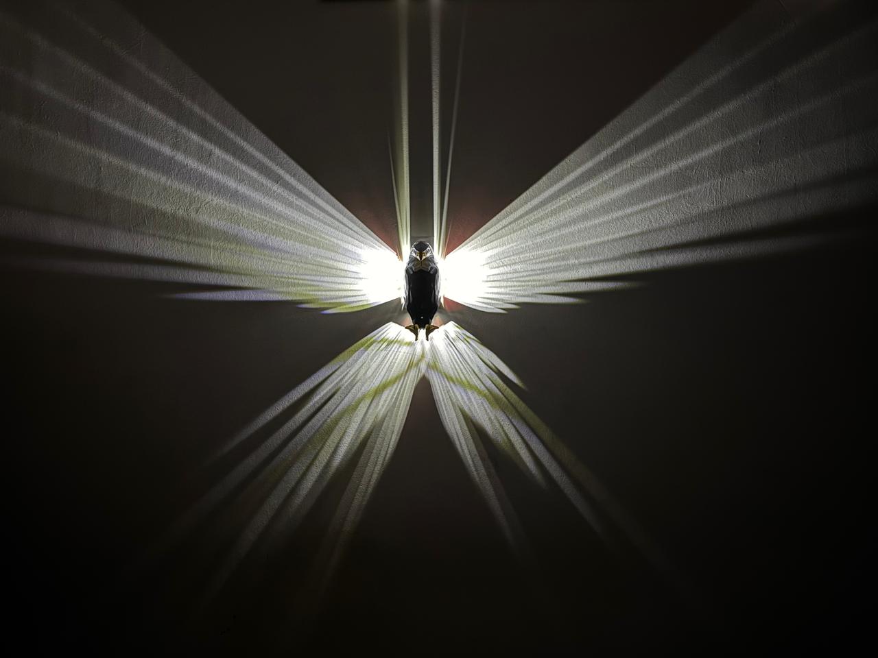 Eagle wall lamp box packing with remote