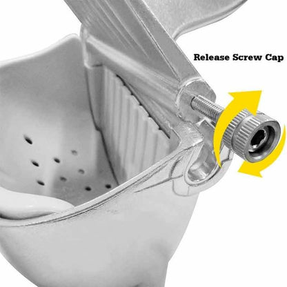 Aluminum Alloy Manual Fruit Juicer Fruit Press